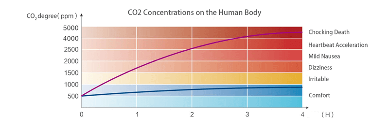 CO2 Concentrations on the Human Body